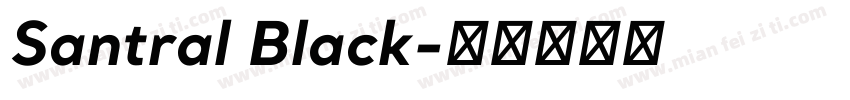 Santral Black字体转换